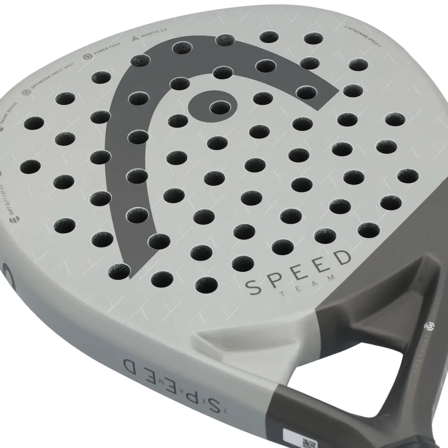 PALA HEAD SPEED TEAM 2025